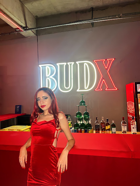 Capa do álbum BudX 2022